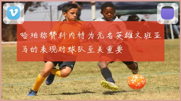 哈珀称赞科内特为无名英雄文班亚马的表现对球队至关重要